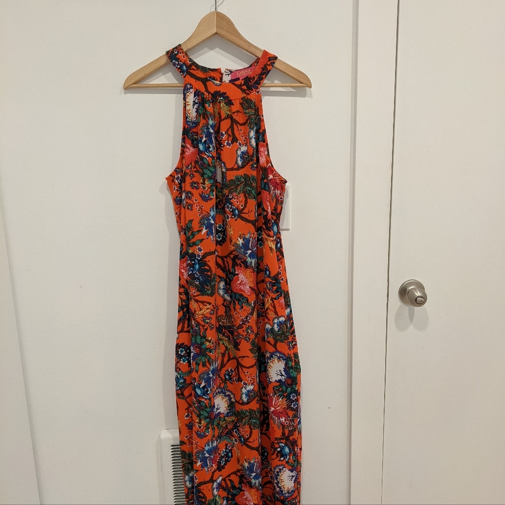 Catherine Malandrino Fire Engine Red Maxi Dress